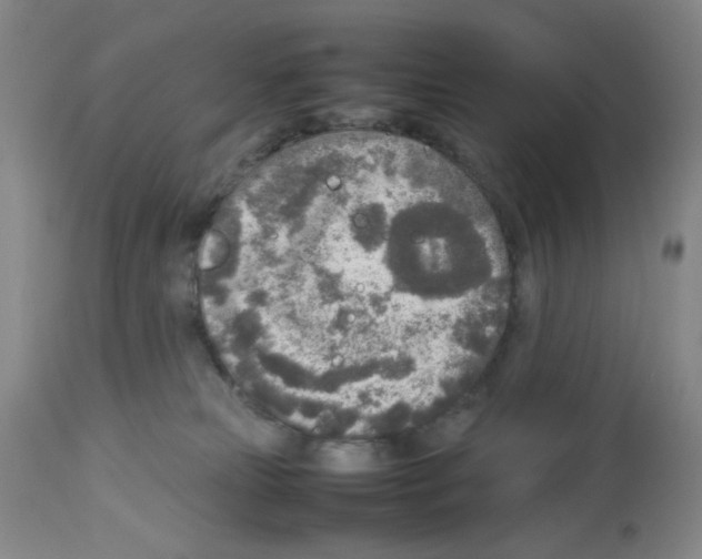 X0000112730181200910011206
