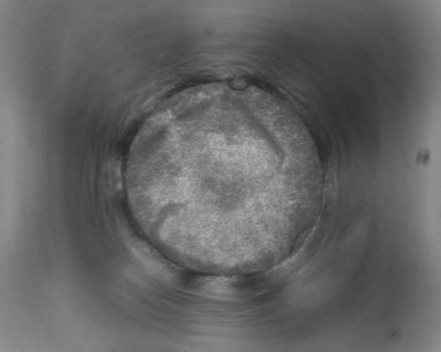 X0000112730182200910011206