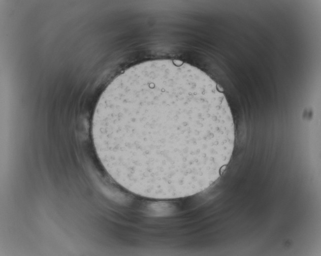 X0000112730183200910011206