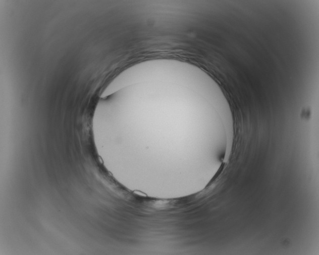 X0000112730184200910011206