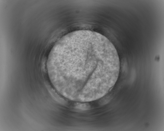 X0000112730185200910011206