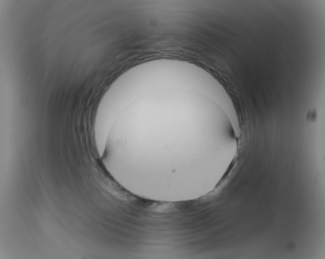 X0000112730186200910011206