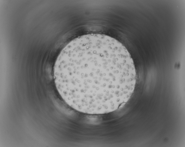 X0000112730187200910011206