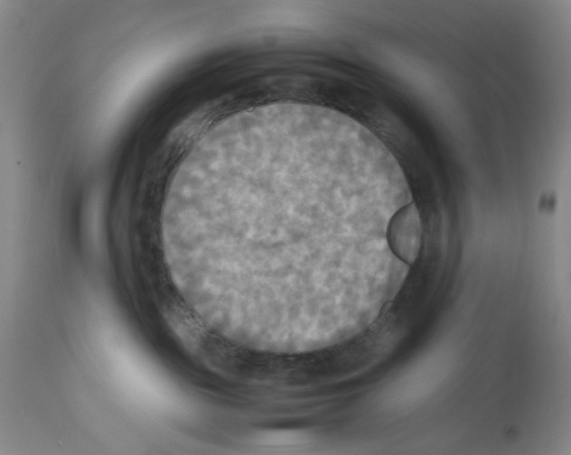 X0000112730189200910011206