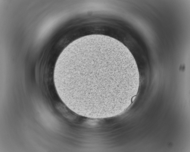 X0000112730190200910011206