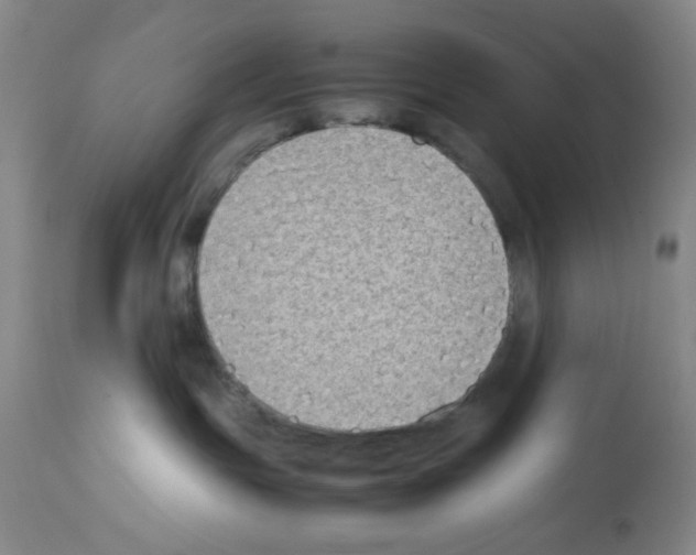 X0000112730191200910011206