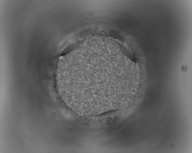 X0000112730192200910011206