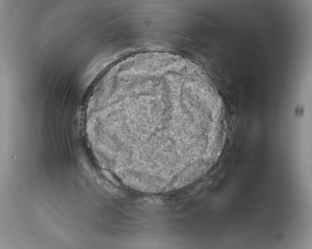 X0000112730194200910011205