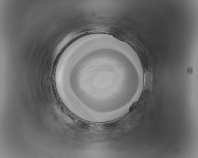 X0000112730195200910011205