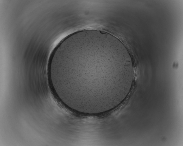 X0000112730196200910011205