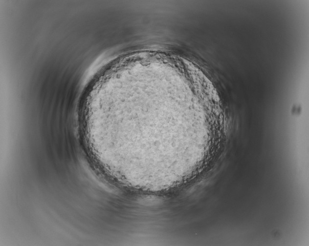 X0000112730198200910011205