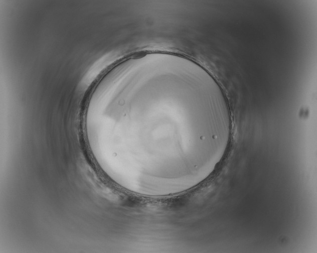 X0000112730199200910011205
