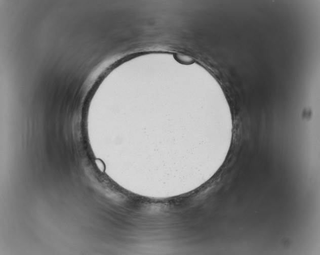 X0000112730200200910011205