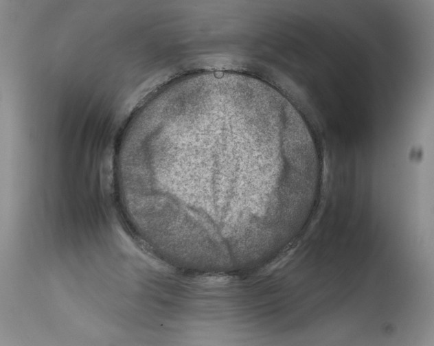 X0000112730202200910011205