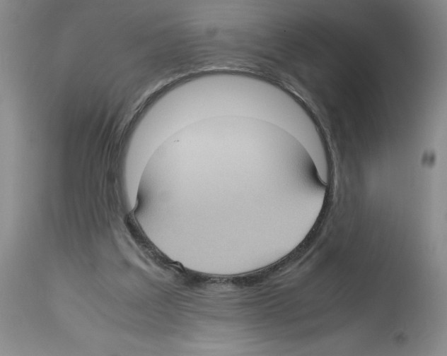 X0000112730203200910011205