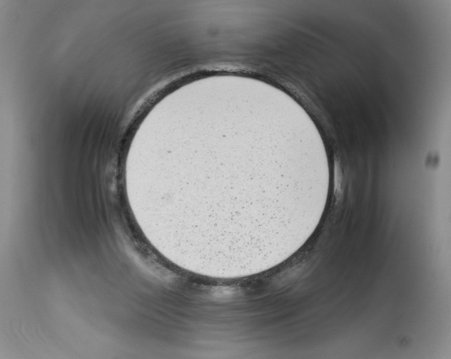 X0000112730204200910011205