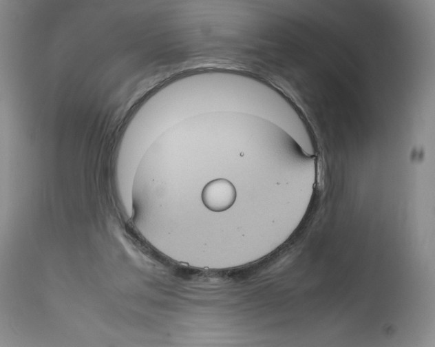 X0000112730205200910011205