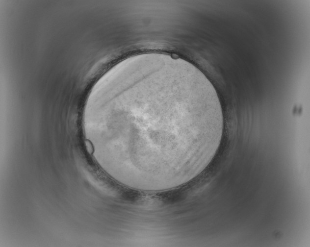 X0000112730207200910011205