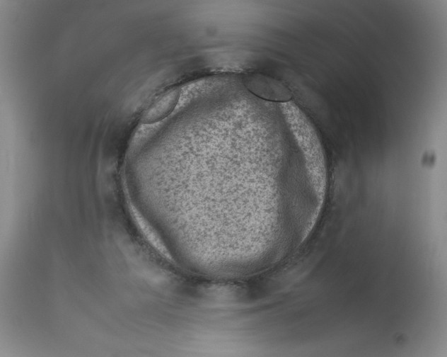 X0000112730209200910011205
