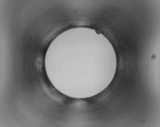 X0000112730210200910011205