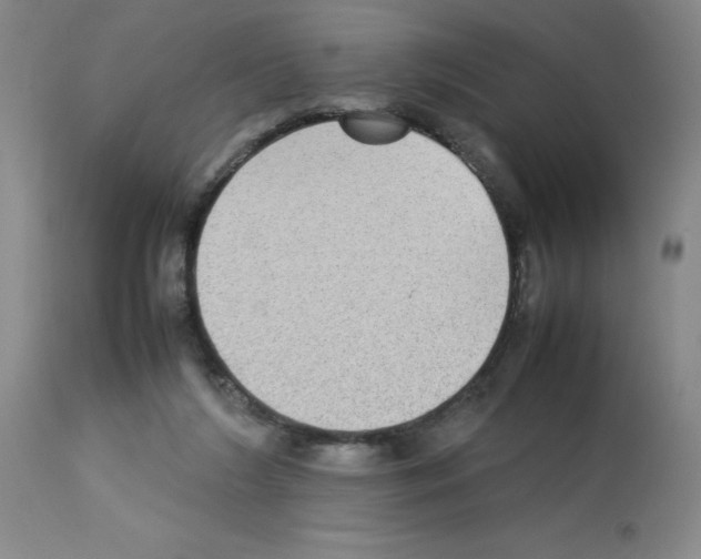 X0000112730212200910011205