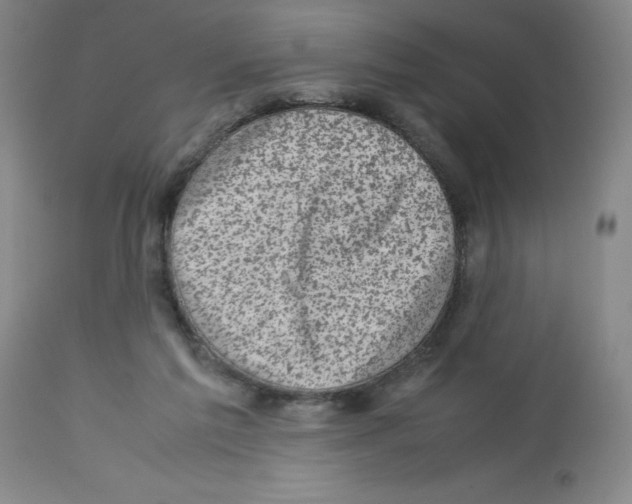 X0000112730213200910011205