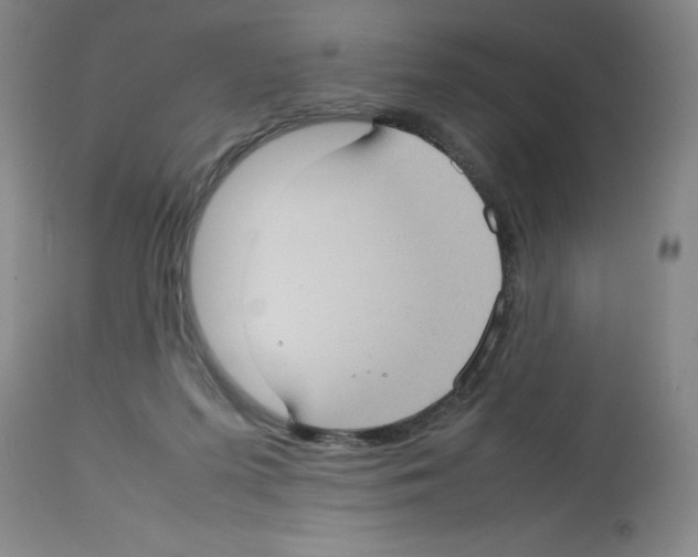 X0000112730215200910011205