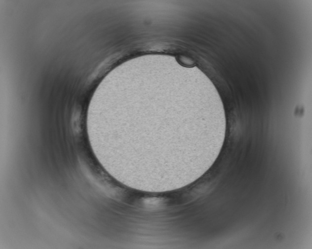 X0000112730216200910011205