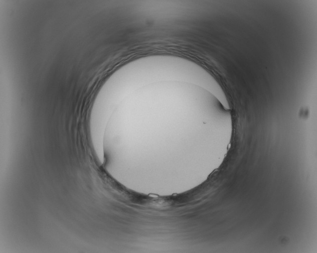 X0000112730217200910011205