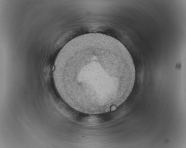 X0000112730219200910011205