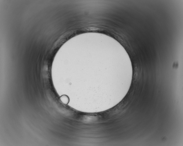 X0000112730220200910011205