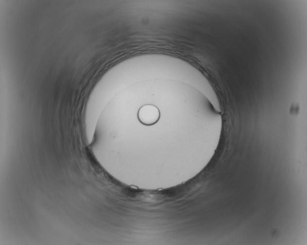 X0000112730221200910011205
