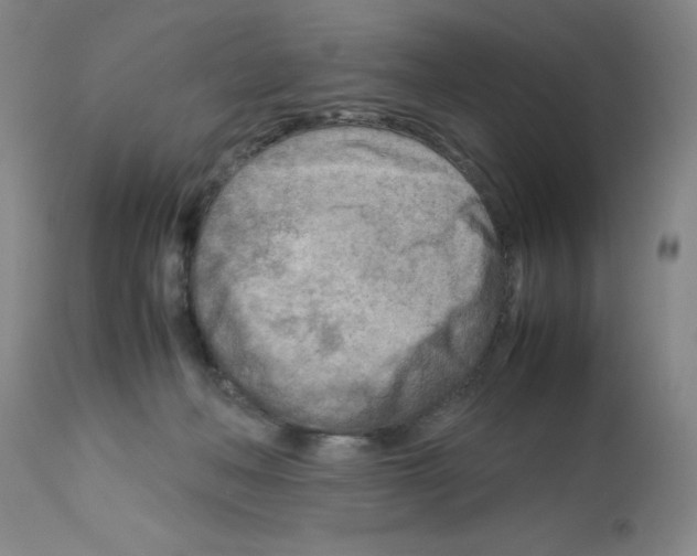 X0000112730222200910011205