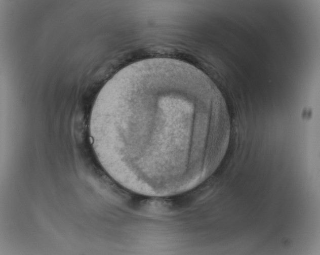 X0000112730223200910011205