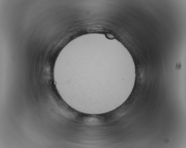 X0000112730224200910011205