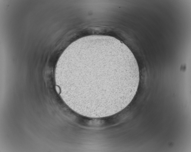 X0000112730225200910011205