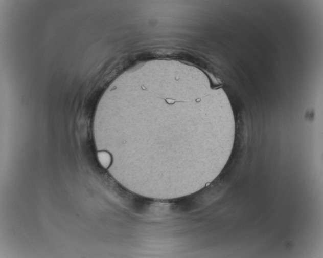 X0000112730227200910011205