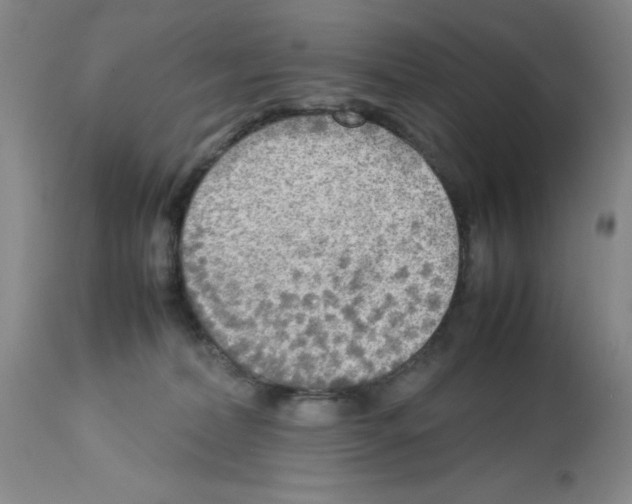 X0000112730228200910011205