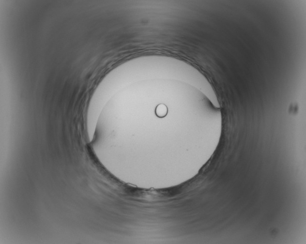 X0000112730229200910011205