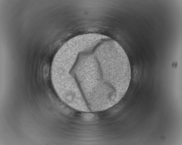 X0000112730230200910011205