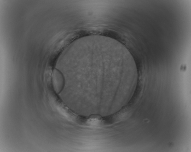 X0000112730231200910011205