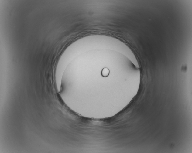 X0000112730233200910011204