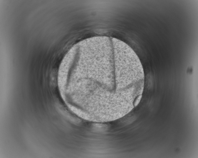 X0000112730234200910011204
