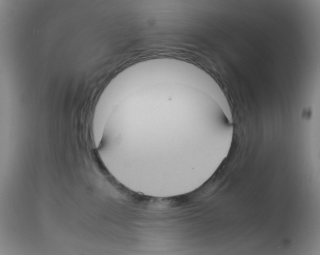 X0000112730235200910011204