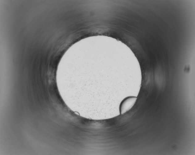 X0000112730236200910011204