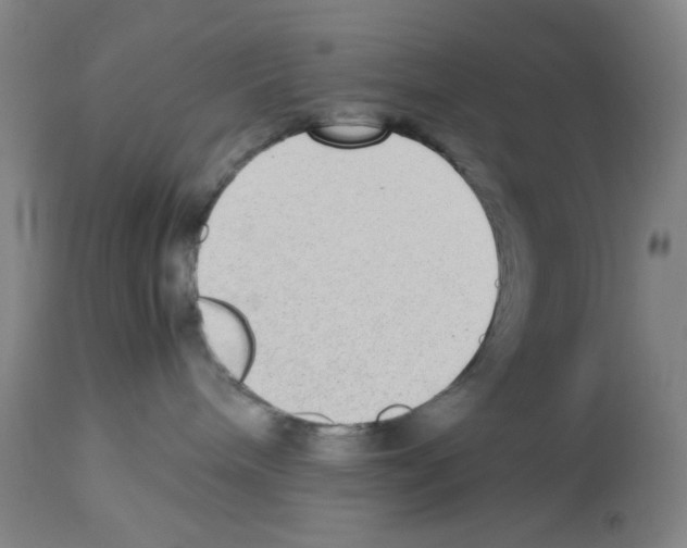 X0000112730240200910011204