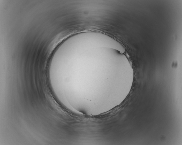 X0000112730242200910011204