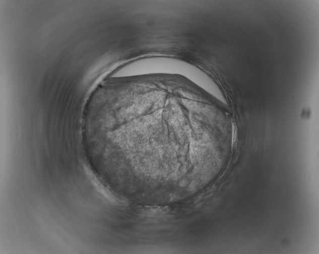 X0000112730243200910011204