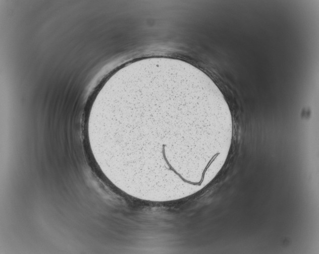 X0000112730244200910011204
