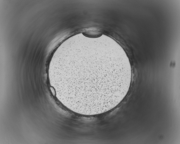 X0000112730245200910011204